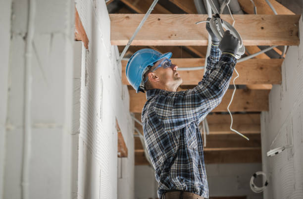 Best Electric Panel Repair  in Laurel, FL